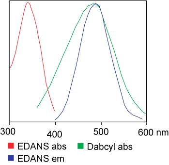 FRET Peptide synthesis: EDANS and Dabcyl