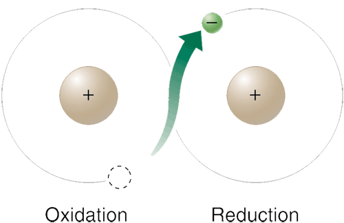 Why seal Peptides