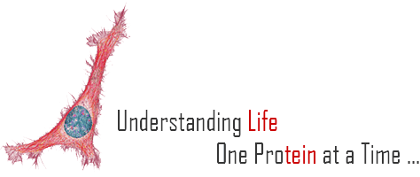 Understanding Life, one protein at a time