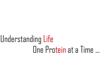 Understanding Life, one protein at a time