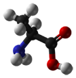 Amino acids