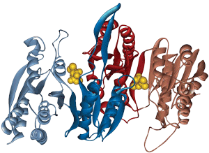 Long peptide synthesis for receptor binding