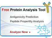 peptide analysis tool for peptide antibodies