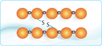 Disulfide Bond Peptides