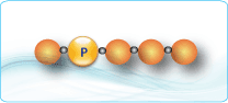 Phosphorylated Peptides