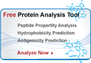 Protein peptide analysis tool for peptide hydrophilicity
