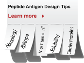 Peptide Antigen Design for Antibodies